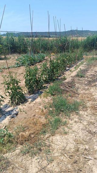 Casa rural en venta en San Adrián - La Cava en Logroño