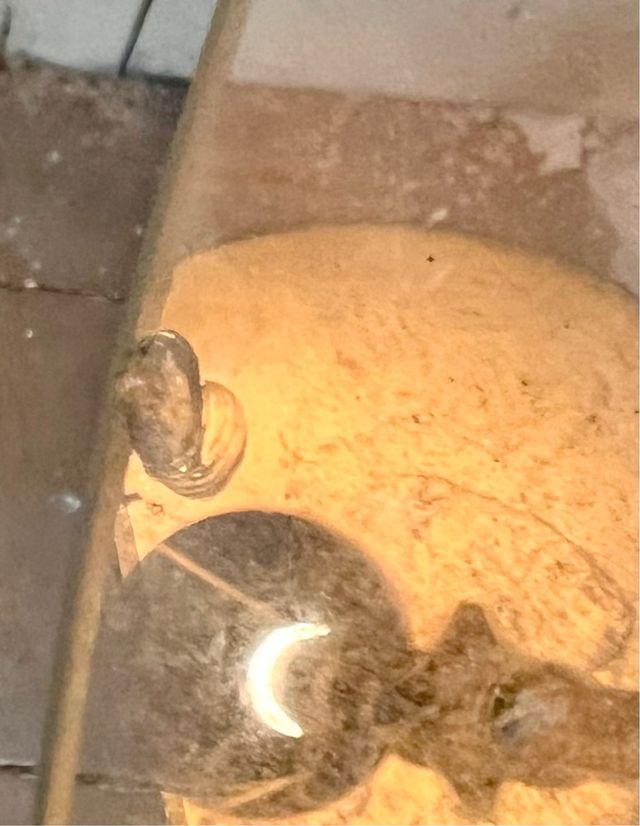 Lámpara de pie vintage