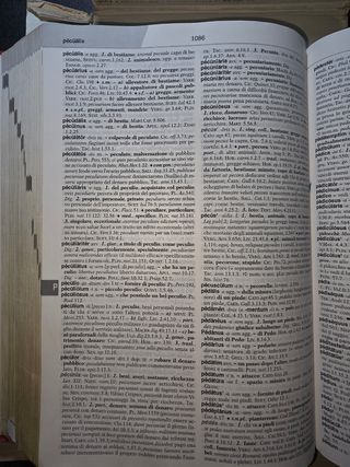 Dizionario di Latino