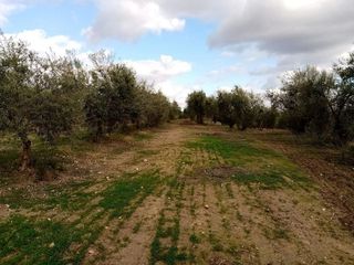 Terreno en venta en Arahal