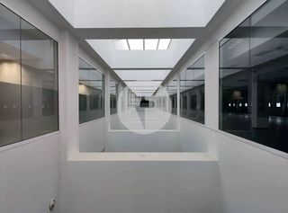 Oficina en alquiler en Pedró en Cornellà de Llobregat