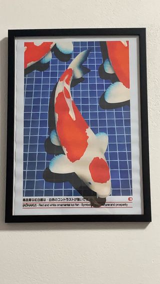 Poster Giapponese Koi Kohaku Incorniciato