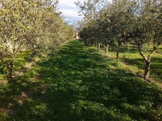 Terreno en venta en Móra d´Ebre