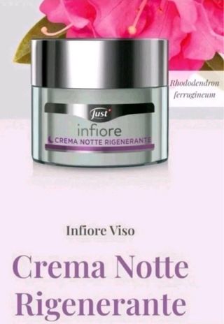 Just Crema Viso Rigenerante Notte 50ml