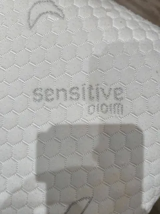 Somier eléctrico +colchón