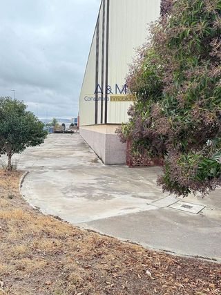 Nave industrial en alquiler en Venta de Baños