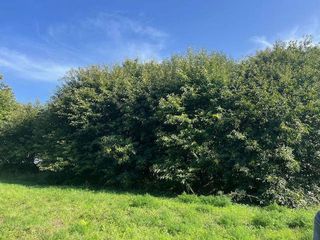 Terreno en venta en Campus Norte - San Caetano en Santiago de Compostela