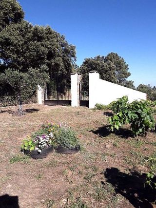 Chalet en venta en Plasencia