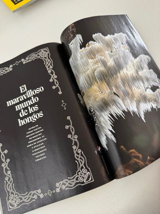 Revista National Geographic Octubre 2024