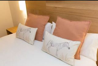 Piso en alquiler en Ayuntamiento - Catedral en Cádiz