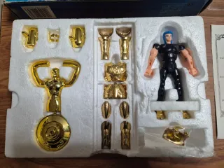 Cavalieri dello Zodiaco Acquario