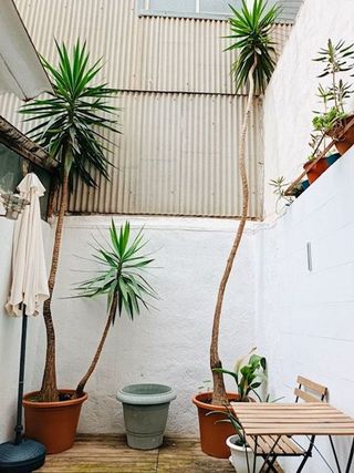 Estudio en alquiler en Sants-Badal en Barcelona