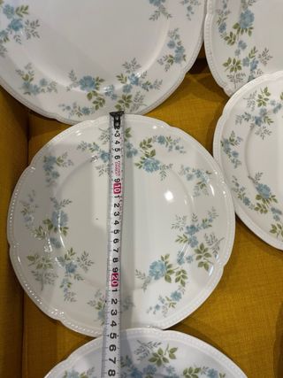 Conjunto Platos Porcelana Fina Bavaria