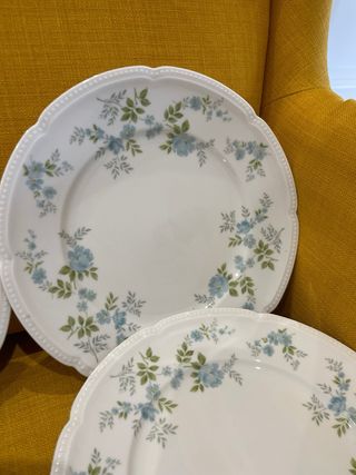Conjunto Platos Porcelana Fina Bavaria