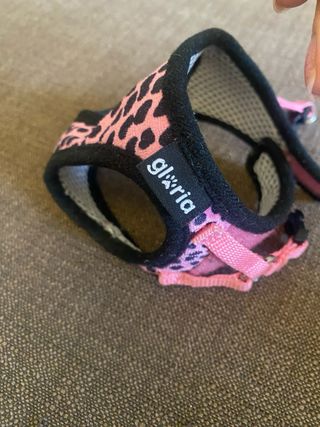 Pettorina per cani/gatti taglia piccola