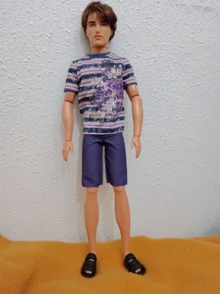 Muñeco Ken Articulado