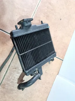 Radiador Honda NS125F