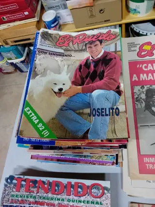 Revistas taurinas