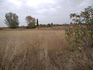 Terreno en venta en Partides de Lleida en Lleida