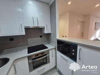 Piso en alquiler en Casco Viejo en Bilbao