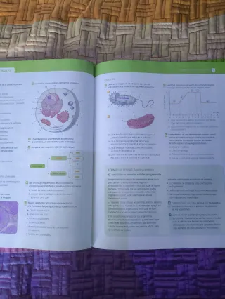 Biología y geología 4º Eso