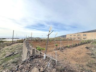 Terreno en venta en Güímar