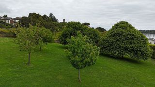 Terreno en venta en Castropol