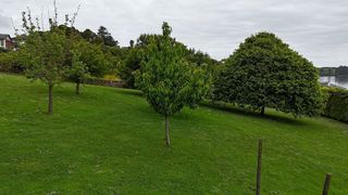 Terreno en venta en Castropol