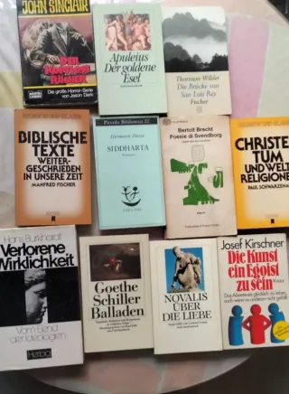 Lote Colección 75 libros en Ingles
