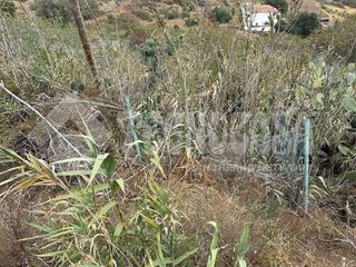Terreno en venta en Los Alvarados-Fuente los Berros en Santa Brígida