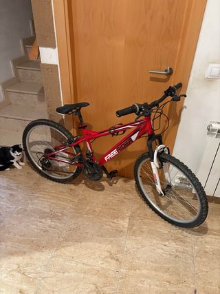 Bicicleta MTB Free Rider 24”