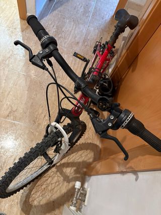 Bicicleta MTB Free Rider 24”
