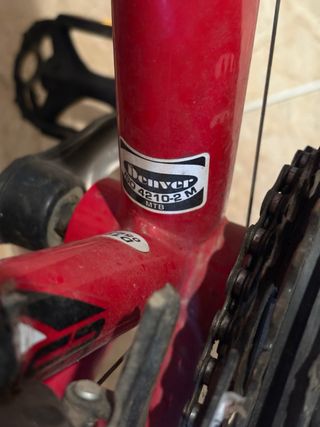 Bicicleta MTB Free Rider 24”