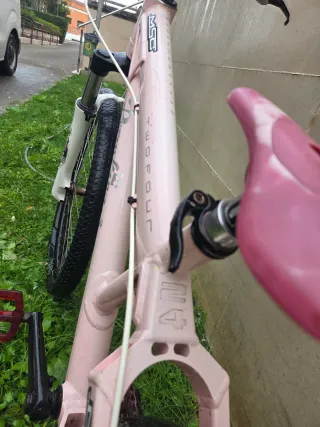 Bicicleta DH The PornKing 24 edicion limitada