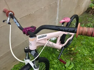 Bicicleta DH The PornKing 24 edicion limitada