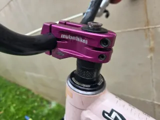 Bicicleta DH The PornKing 24 edicion limitada