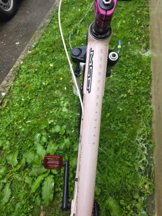 Bicicleta DH The PornKing 24 edicion limitada