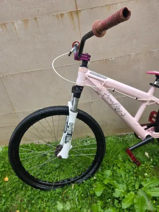 Bicicleta DH The PornKing 24 edicion limitada