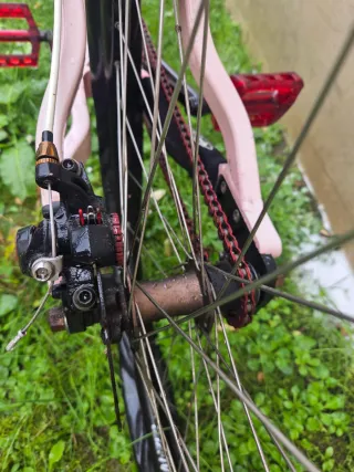 Bicicleta DH The PornKing 24 edicion limitada