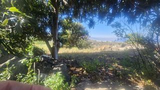 Terreno en venta en Güímar