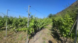 Terreno en venta en Güímar