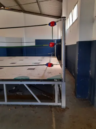 Ring Profesional Lucha Libre y Boxeo