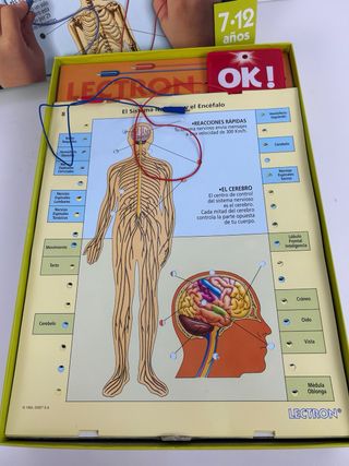 Juego Lectron Conoce tu Cuerpo 7-12 años