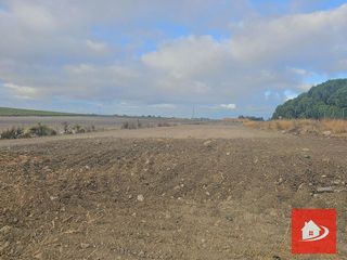 Terreno en venta en El Pino-Bajo de Guía en Sanlúcar de Barrameda