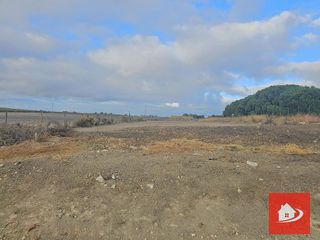 Terreno en venta en El Pino-Bajo de Guía en Sanlúcar de Barrameda