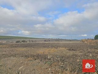 Terreno en venta en El Pino-Bajo de Guía en Sanlúcar de Barrameda