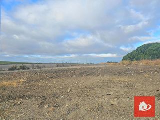 Terreno en venta en El Pino-Bajo de Guía en Sanlúcar de Barrameda