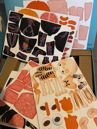 Juego Juguettos Aprendo el Cuerpo Humano