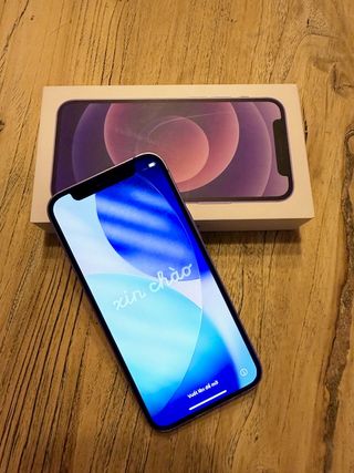 iPhone 12 mini 256Gb