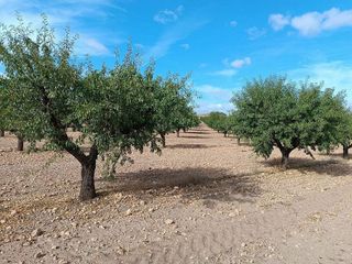 Terreno en venta en Yecla